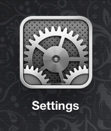 iPad Settings App