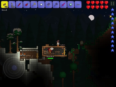 Terraria